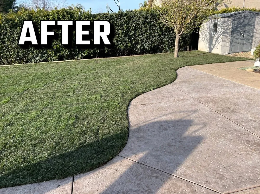 Expert landscaping services in Modesto, CA by Augusta Lawn Care Services of Modesto