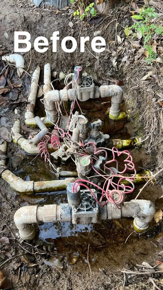 Local lawn mowing service experts serving Modesto, CA - Augusta Lawn Care Services of Modesto