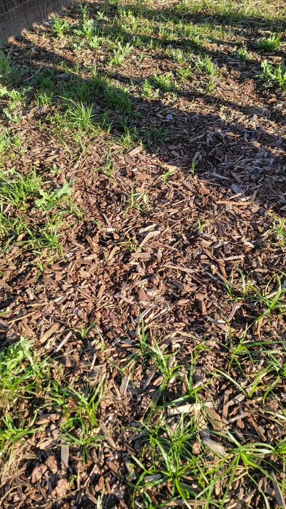 Local garden landscaping in Modesto, CA - Augusta Lawn Care Services of Modesto