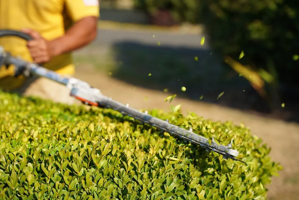 Top-rated residential landscaping with custom design in Renton, WA by Augusta Lawn Care Services