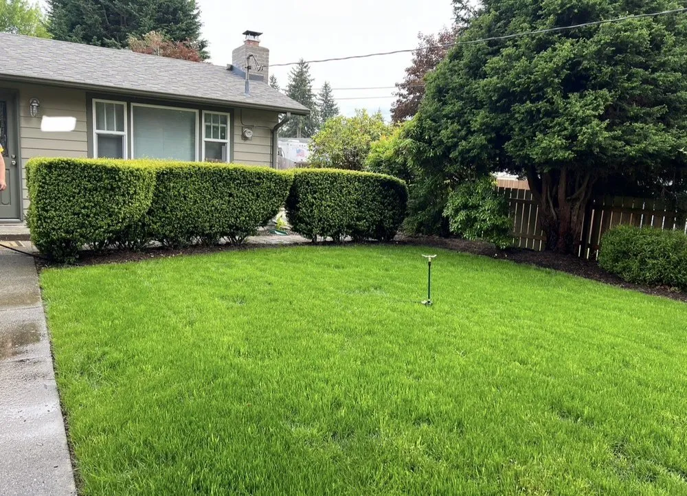 Professional outdoor landscaping for outdoor upgrades across Renton, WA - Augusta Lawn Care Services