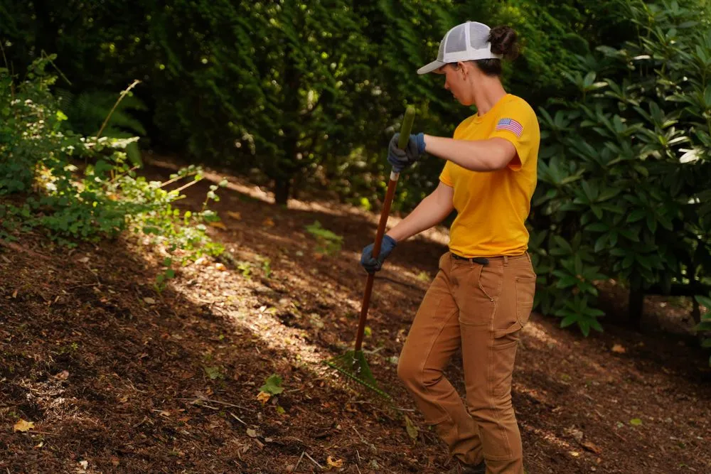 Local landscaping services experts serving Renton, WA - Augusta Lawn Care Services