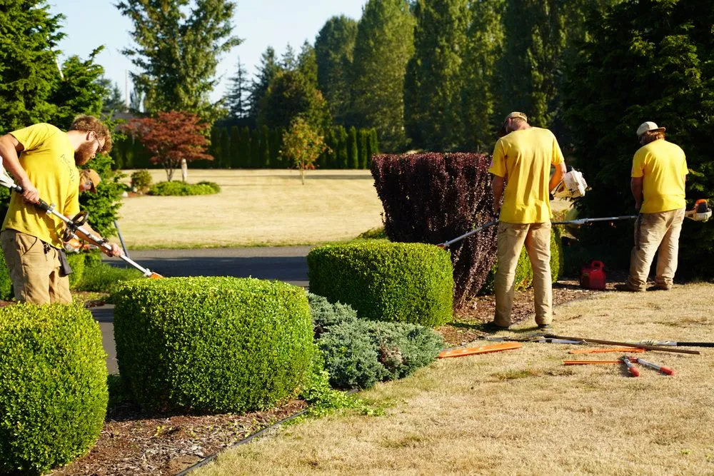 Reliable lawn mowing service experts serving Renton, WA - Augusta Lawn Care Services