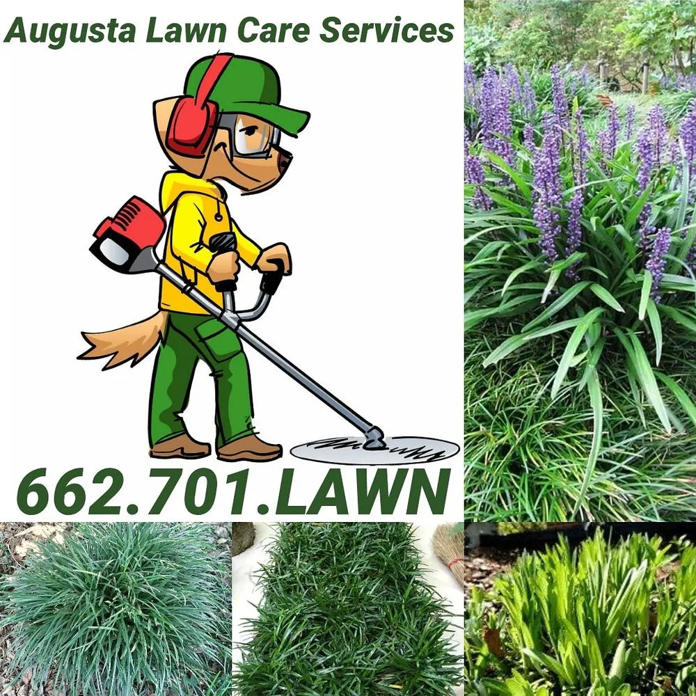 Trusted landscaping services for beautiful yards across Southaven, MS - Augusta Lawn Care Services
