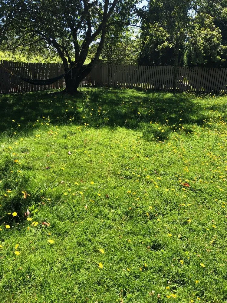 Local landscape design in Bellingham, WA by Augusta Lawncare Services