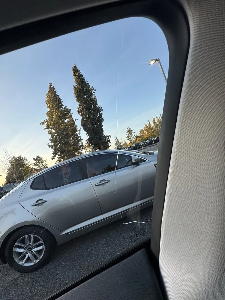 Local yard maintenance with custom design in Bellingham, WA by Augusta Lawncare Services