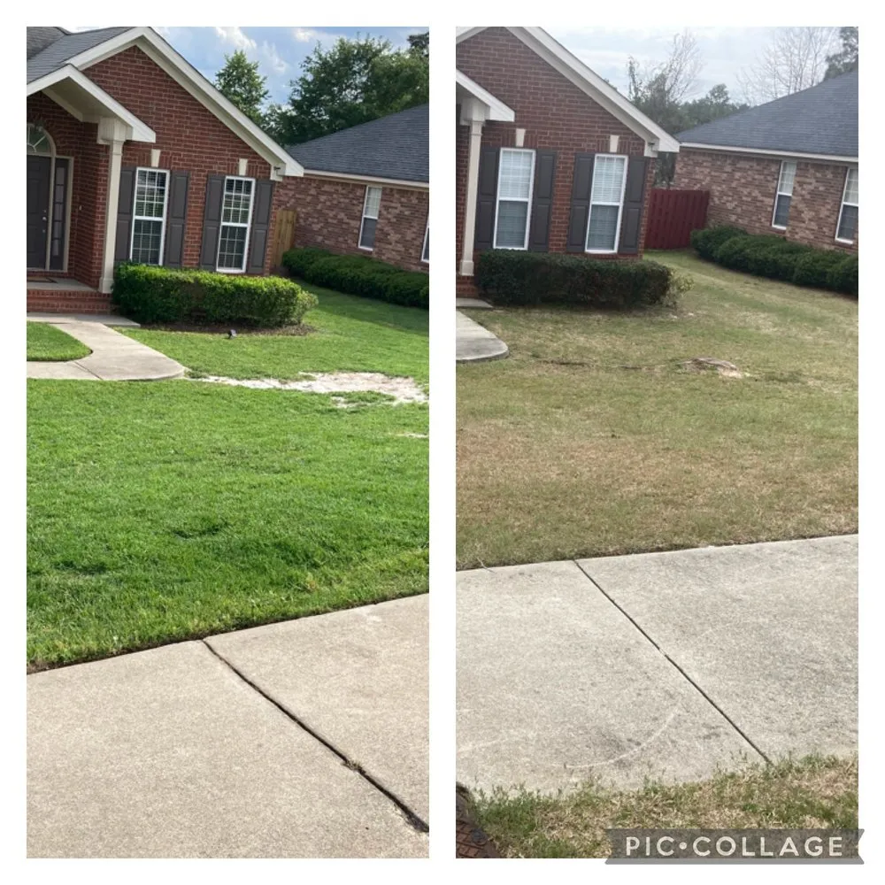 Professional yard cleanup service in Augusta, GA - Augusta Sprinkler&Sod