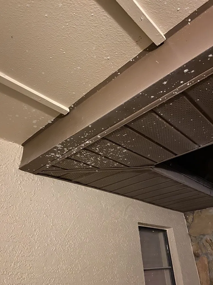 Expert landscaping services for outdoor upgrades across Dade City, FL - Augustine Landscaping