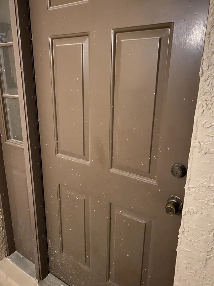 Reliable lawn care service in Dade City, FL by Augustine Landscaping