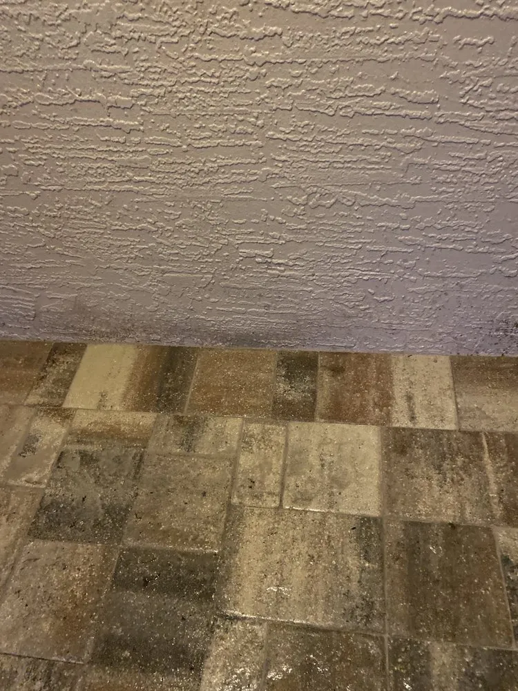 Custom landscape design in Dade City, FL - Augustine Landscaping