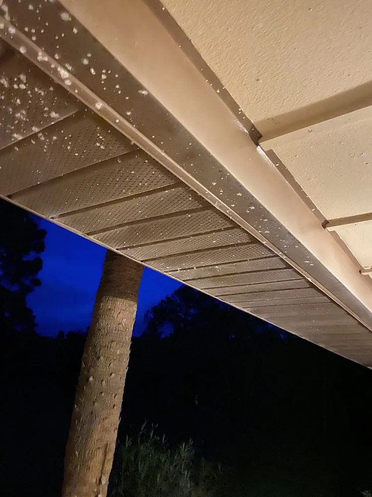 Reliable residential landscaping in Dade City, FL by Augustine Landscaping