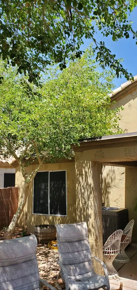 Trusted yard maintenance in Surprise, AZ by Augustins Landscaping