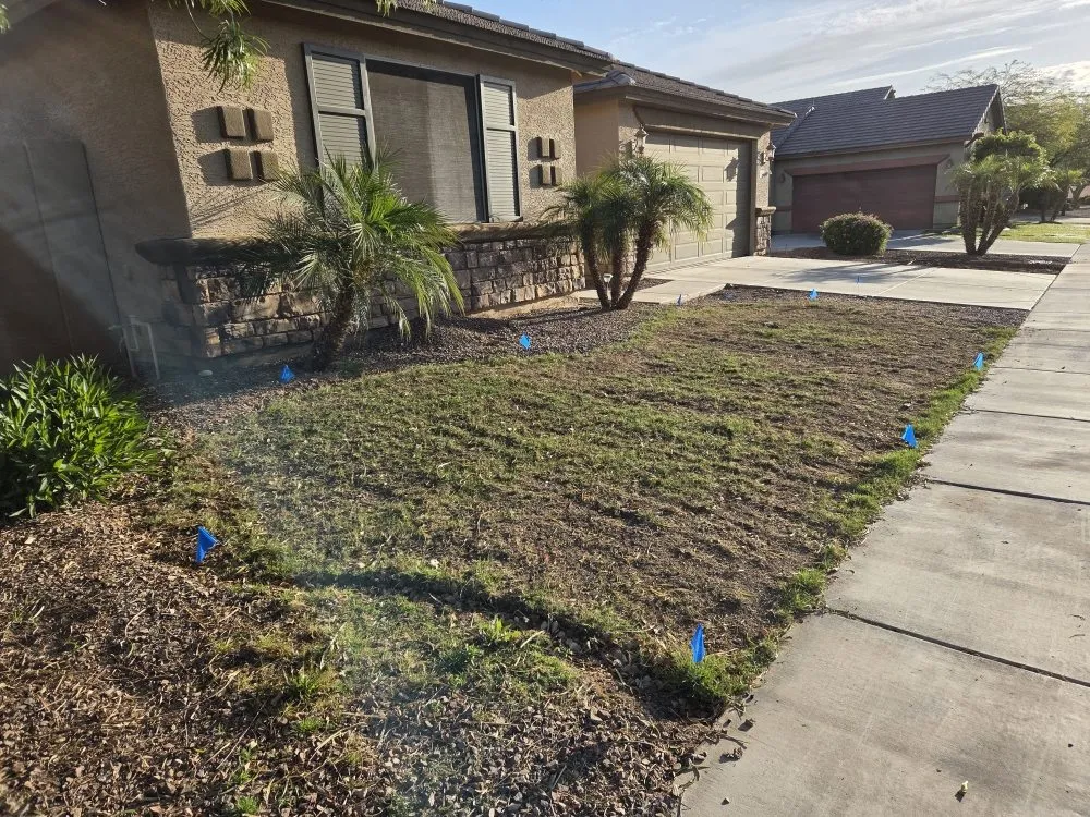 Top-rated outdoor landscaping experts serving Surprise, AZ - Augustins Landscaping