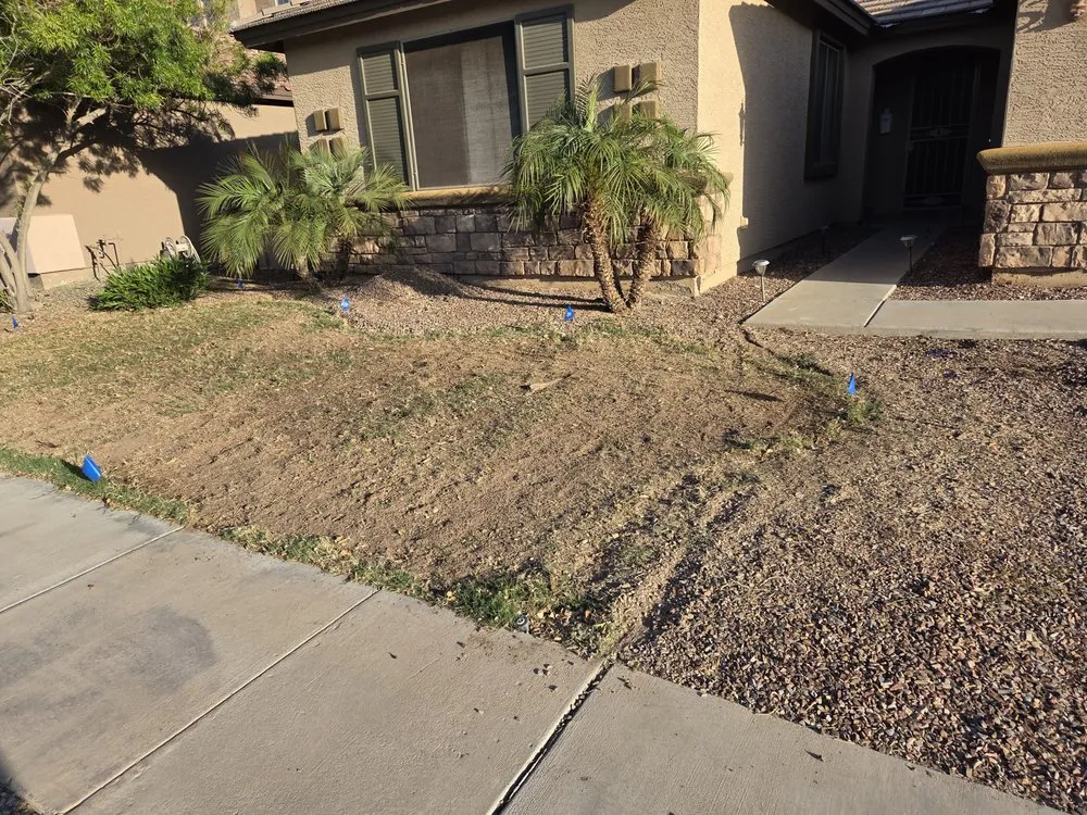 Custom garden landscaping experts serving Surprise, AZ - Augustins Landscaping