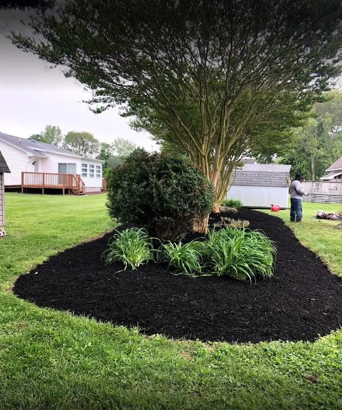 Affordable landscape design experts serving Bridgeville, DE - Augusto and Sons Landscaping
