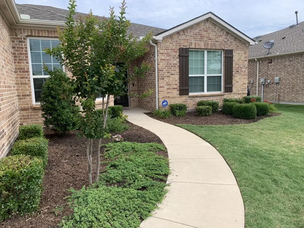 Reliable yard cleanup service for homes in Plano, TX by Augusto's Property Care