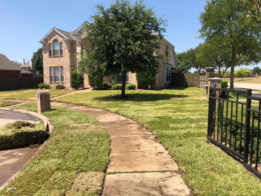 Trusted residential landscaping in Plano, TX - Augusto's Property Care