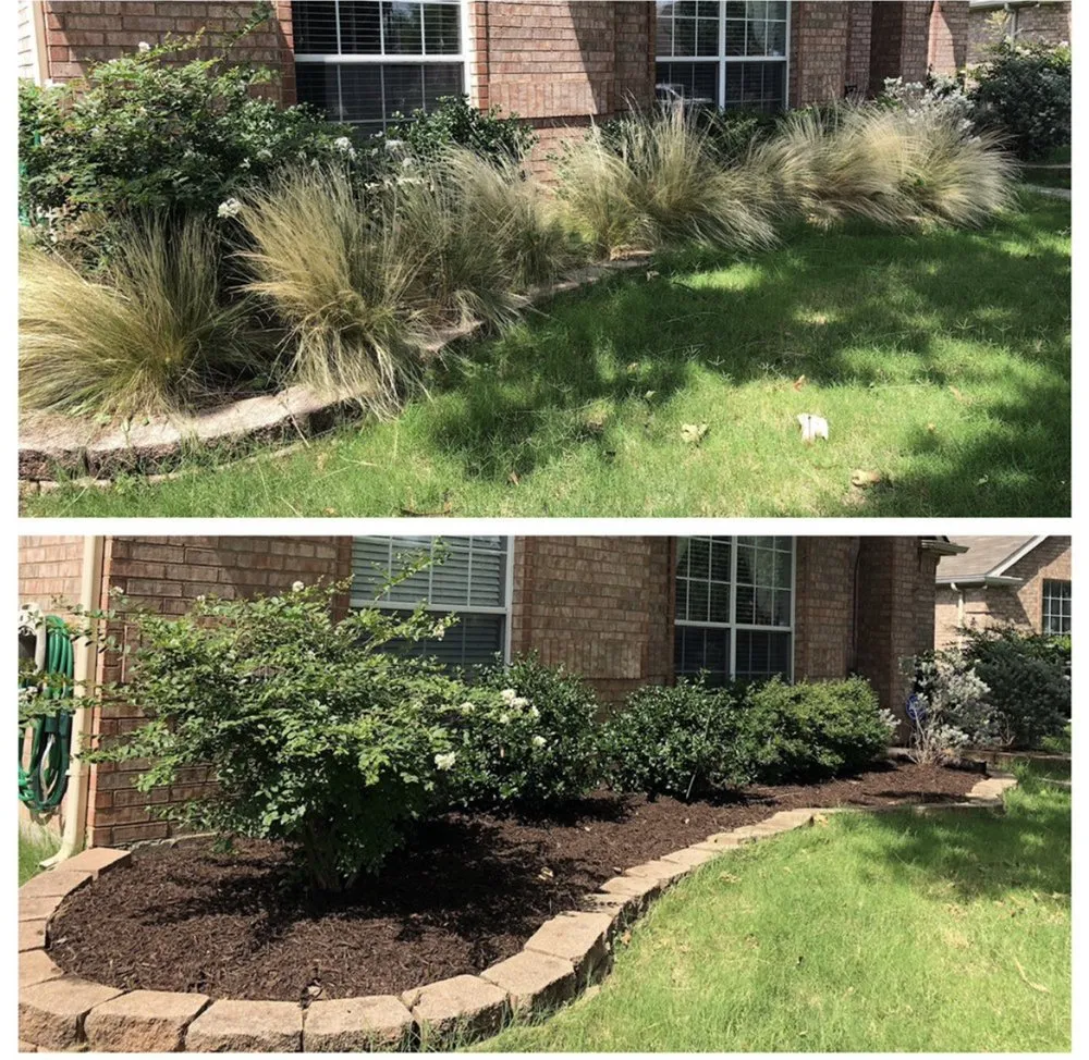 Top-rated landscape design in Plano, TX - Augusto's Property Care