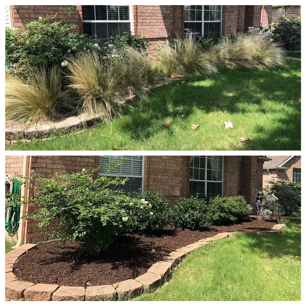 Custom yard maintenance in Plano, TX - Augusto's Property Care