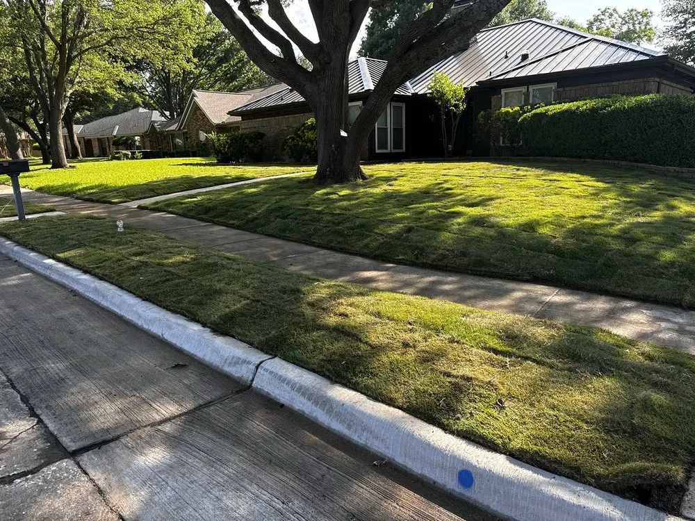 Affordable landscape installation in Plano, TX - Augusto's Property Care
