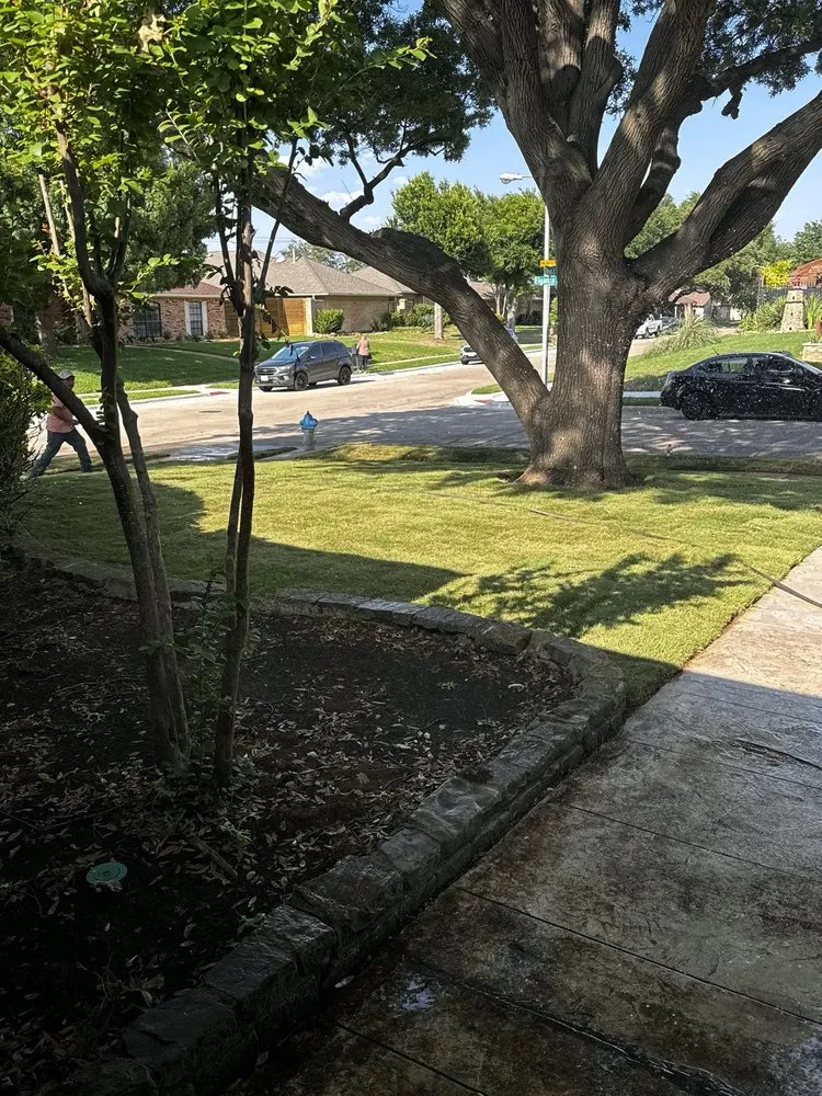 Custom yard maintenance for beautiful yards in Plano, TX by Augusto's Property Care