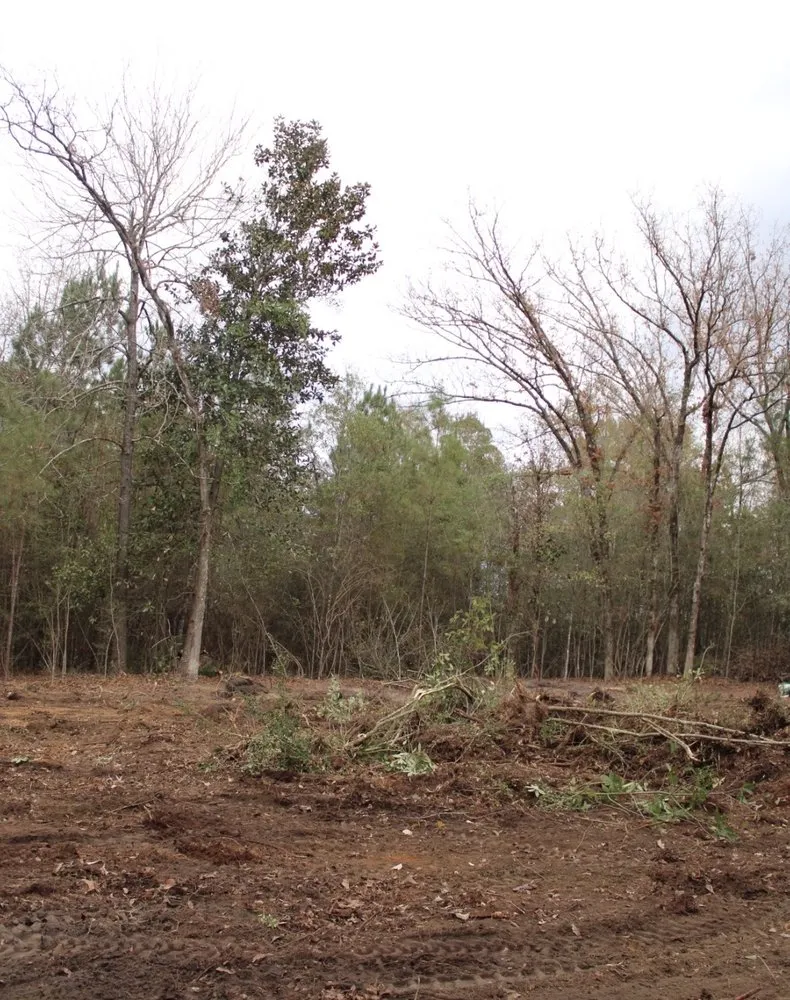 Professional landscaping services near you across Purvis, MS - Aultmans Digging And Cleanup