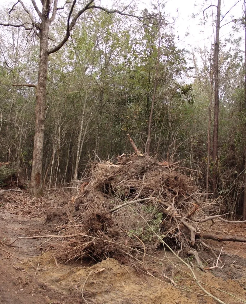 Custom garden landscaping with custom design across Purvis, MS - Aultmans Digging And Cleanup