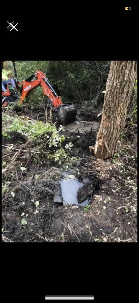 Trusted lawn care service in Bedford, IN by Aunt Bs Hauling Excavating and Trash