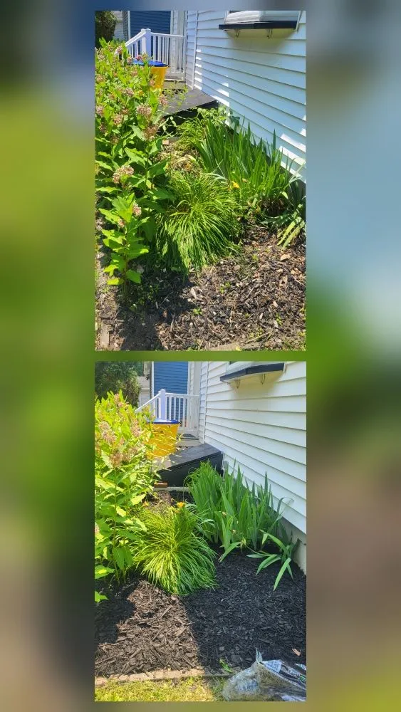 Expert yard maintenance near you in Brockport, NY by Aunt TT & Uncle Tom's Lawn & Home Services