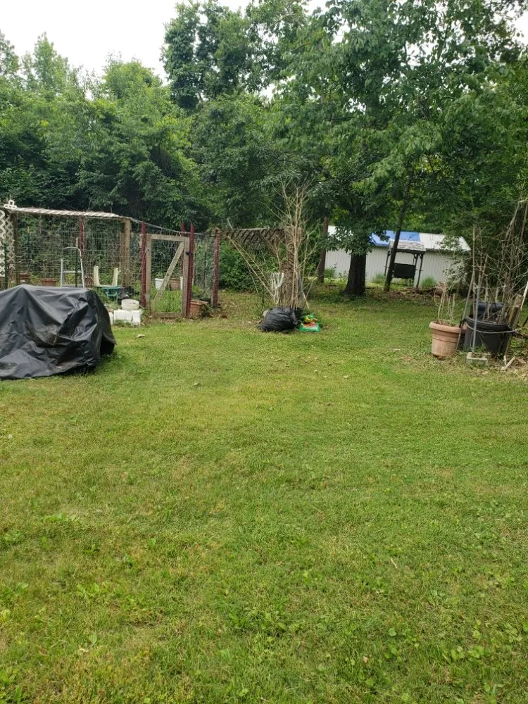 Reliable outdoor landscaping for year-round maintenance across Louisville, KY - Aura Services