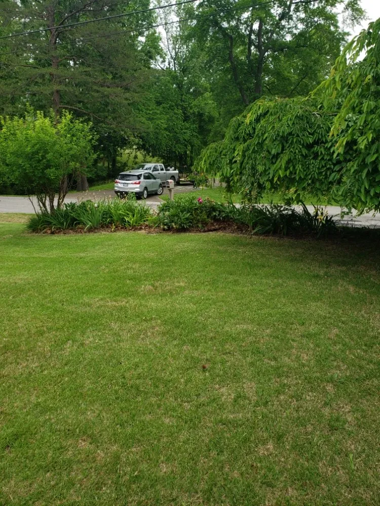 Trusted landscape installation for homes across Louisville, KY - Aura Services