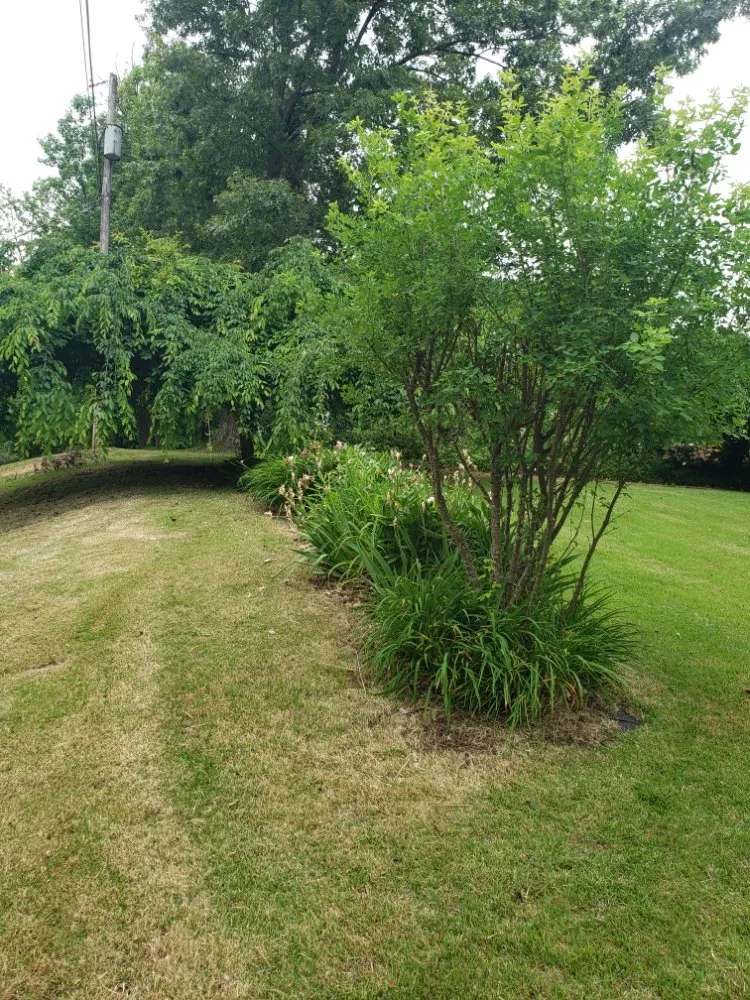 Reliable lawn mowing service experts serving Louisville, KY - Aura Services