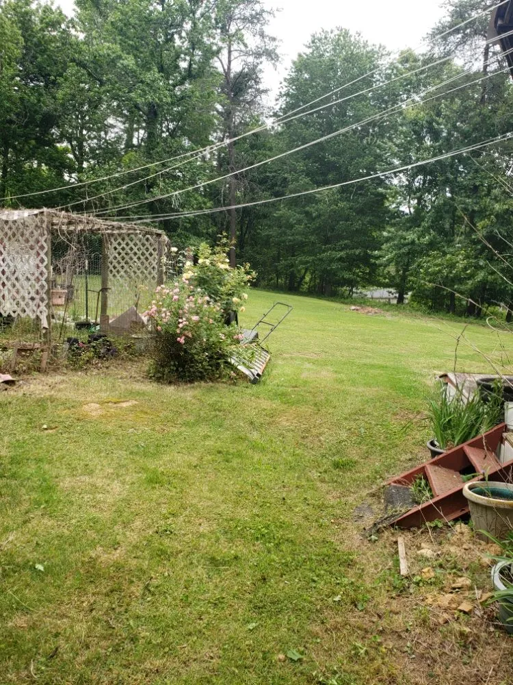 Top-rated lawn care service for residential properties in Louisville, KY by Aura Services