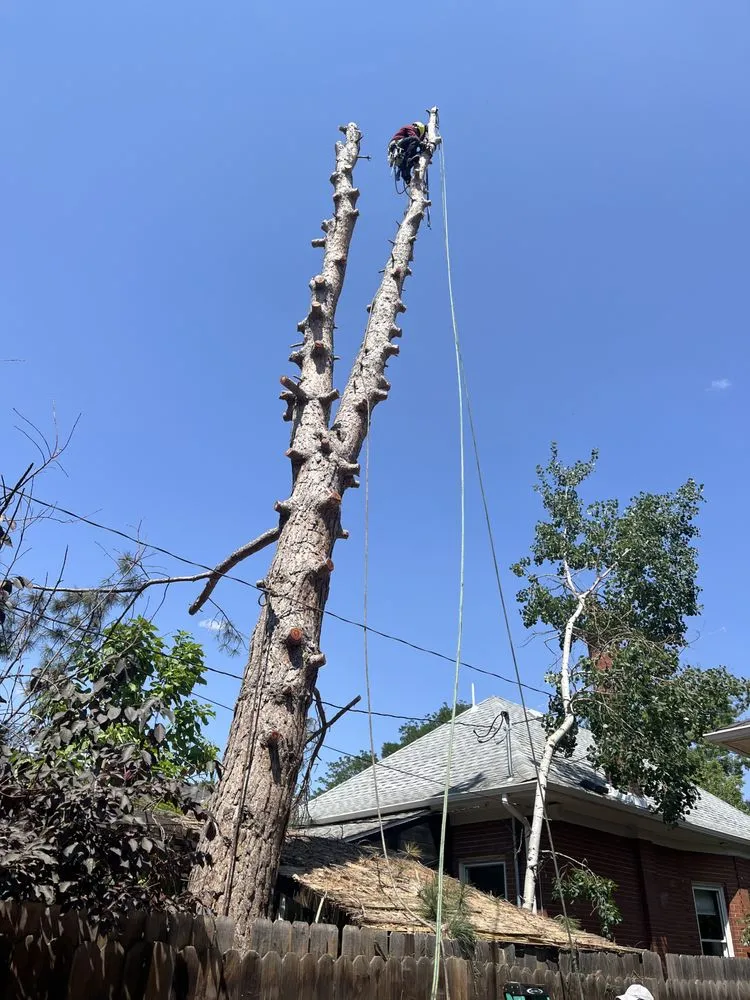 Trusted residential landscaping in Denver, CO by Aurelio Mowing and Landscaping