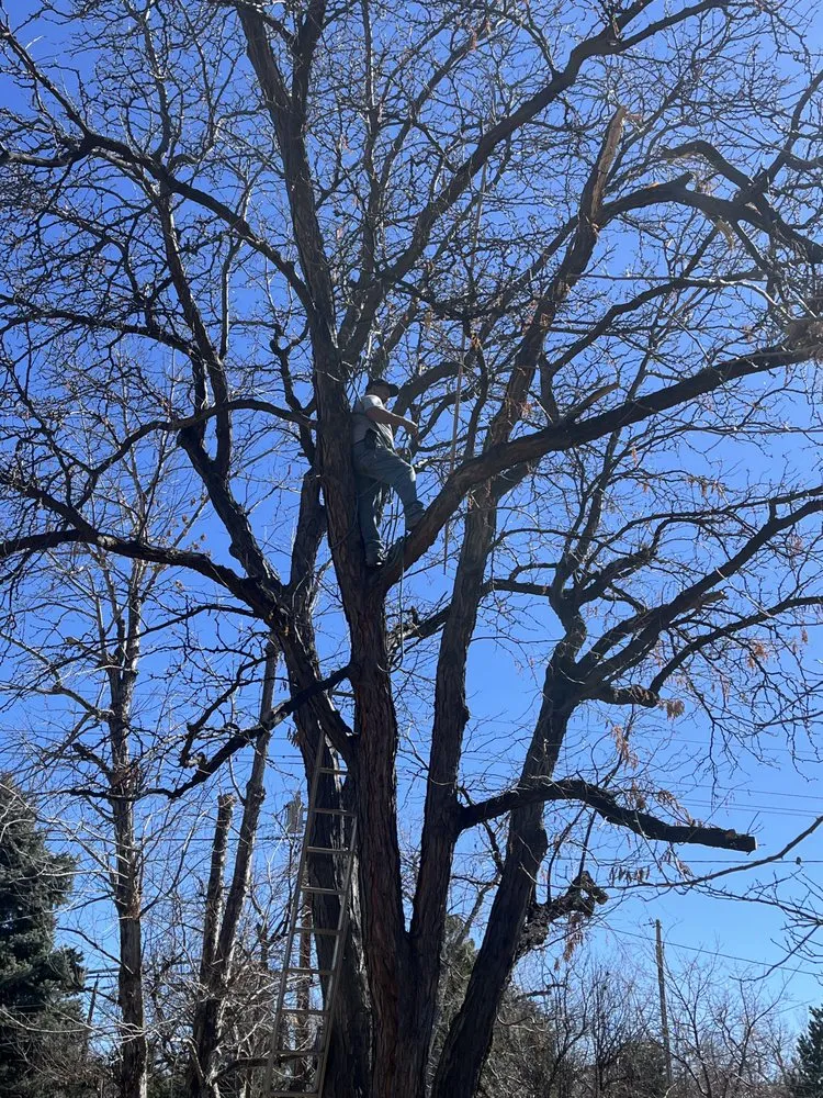 Expert yard maintenance for homes across Denver, CO - Aurelio Mowing and Landscaping