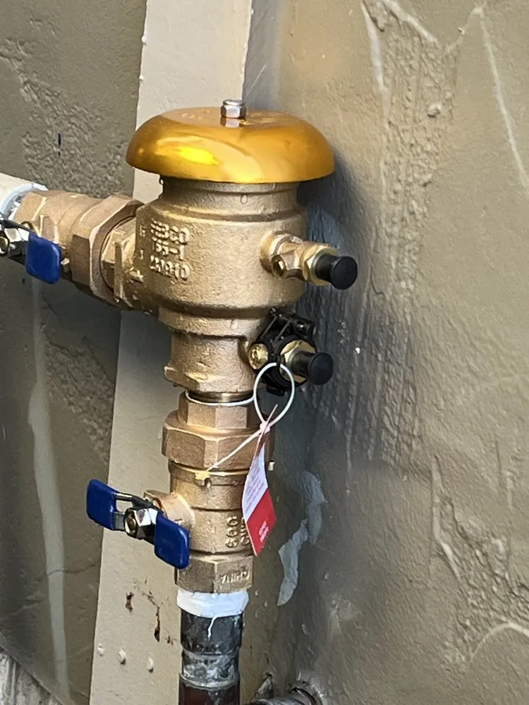 Trusted yard cleanup service in Denver, CO by Aurelio Mowing and Landscaping