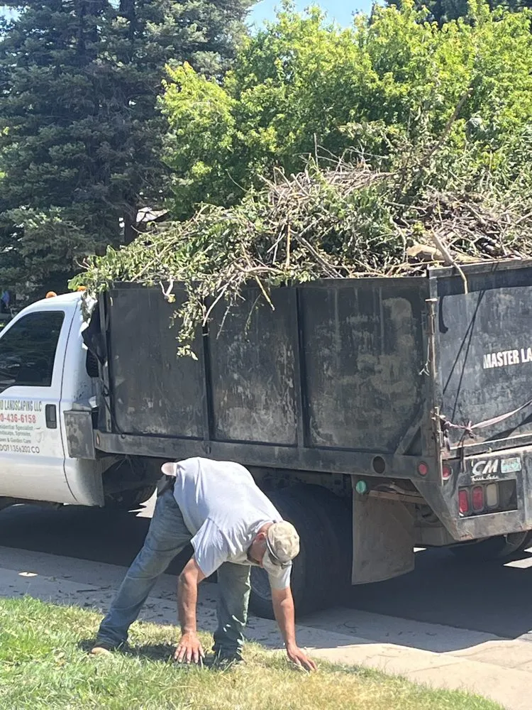 Expert yard cleanup service in Denver, CO by Aurelio Mowing and Landscaping