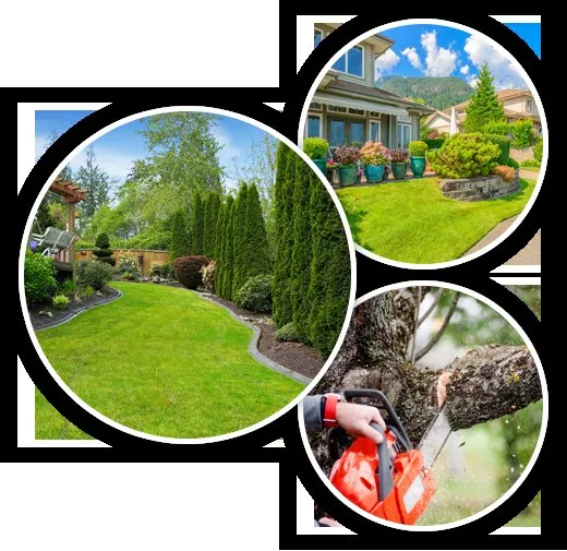 Affordable residential landscaping in Forest Hill, TX - Aurelio's Lawn & Tree Service