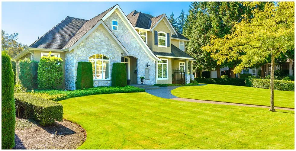 Reliable yard cleanup service for outdoor upgrades in Forest Hill, TX by Aurelio's Lawn & Tree Service