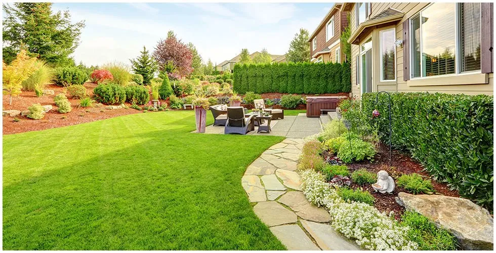 Custom lawn care service for year-round maintenance across Forest Hill, TX - Aurelio's Lawn & Tree Service