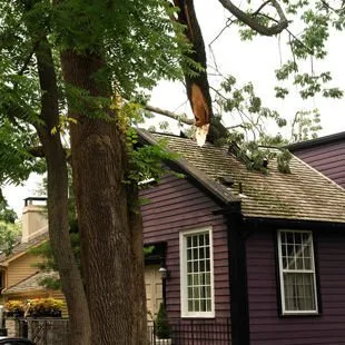 Trusted yard cleanup service for year-round maintenance across Forest Hill, TX - Aurelio's Lawn & Tree Service