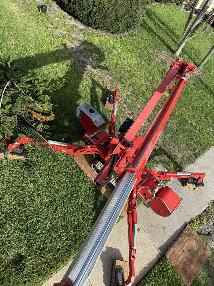 Expert outdoor landscaping for beautiful yards in Sarasota, FL by Aurora Arbor Care