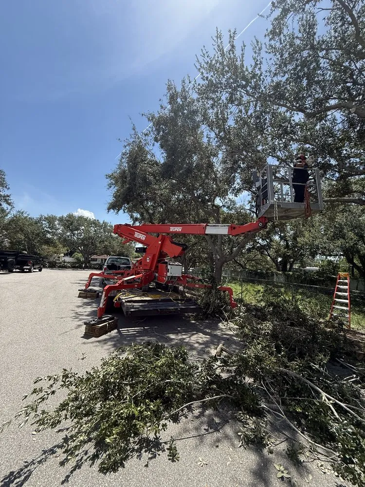 Custom residential landscaping for outdoor upgrades across Sarasota, FL - Aurora Arbor Care