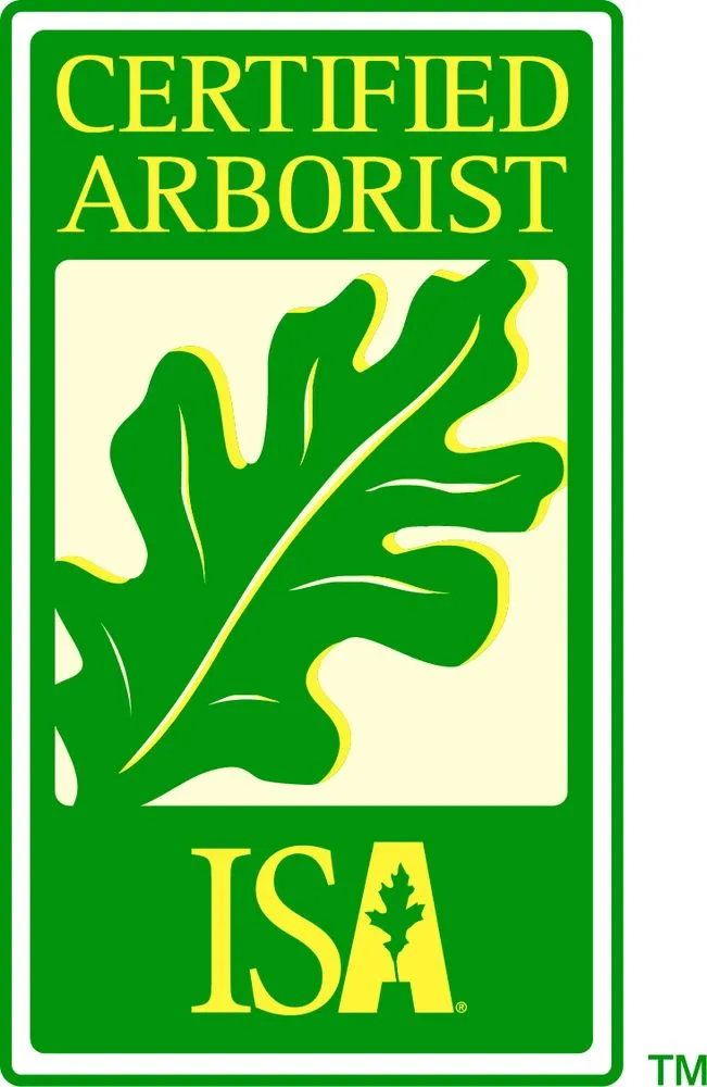 Top-rated yard maintenance for year-round maintenance in Sarasota, FL by Aurora Arbor Care