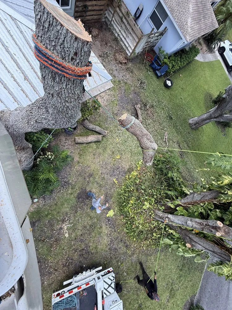 Top-rated lawn mowing service in Sarasota, FL by Aurora Arbor Care