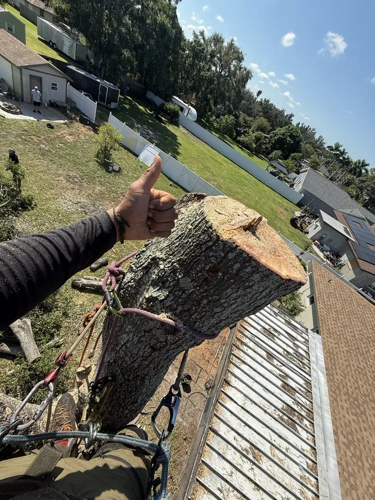 Local outdoor landscaping experts serving Sarasota, FL - Aurora Arbor Care