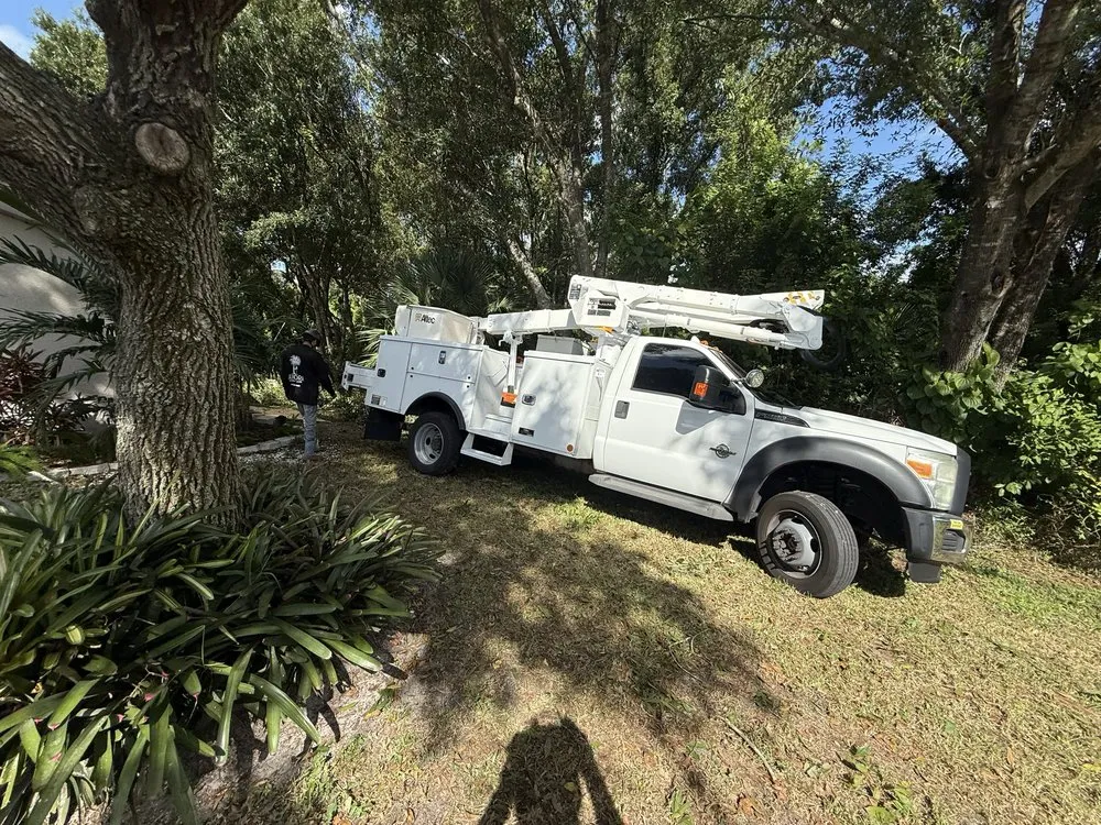 Local landscape design experts serving Sarasota, FL - Aurora Arbor Care