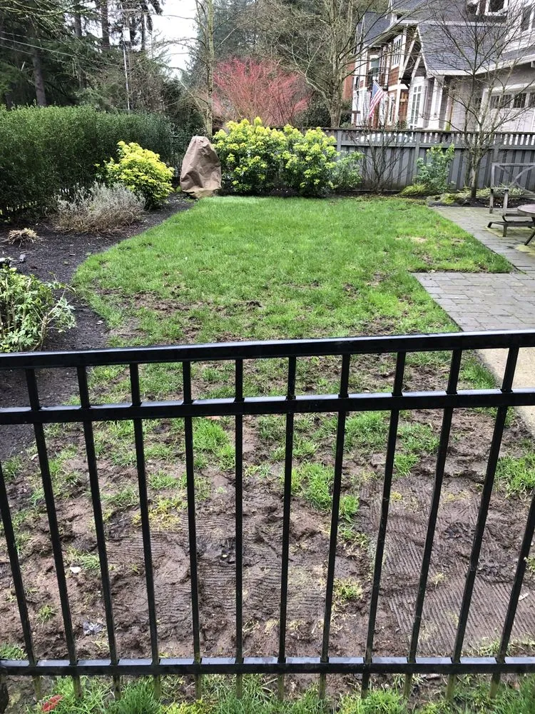 Expert lawn mowing service experts serving Aurora, OR - Aurora Landscape