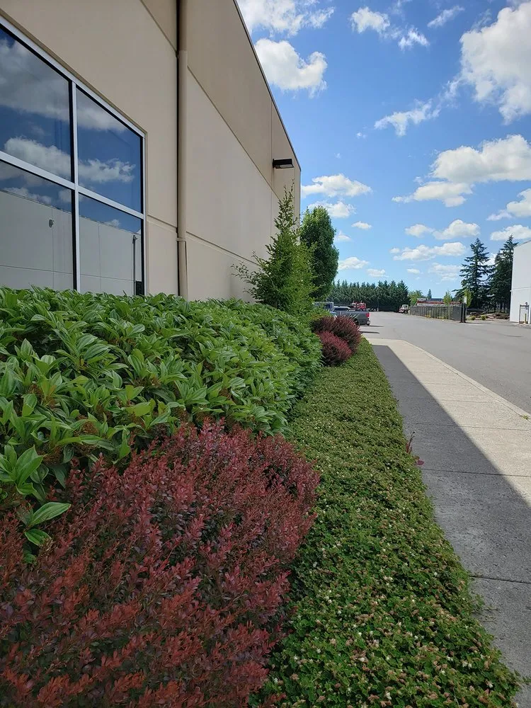 Expert landscaping services for beautiful yards across Aurora, OR - Aurora Landscape