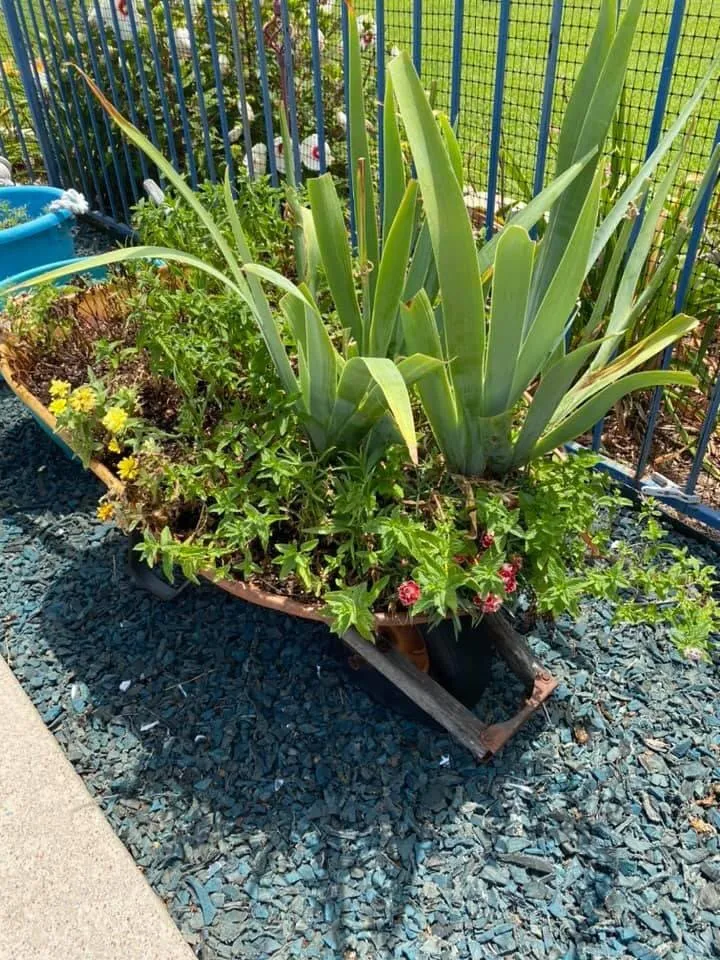 Trusted lawn care service experts serving Keller, TX - Aurora Landscapes